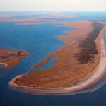 Hog Island today is completely uninhabited, one of fourteen Virginia barrier islands that form the longest 
stretch of undeveloped coastline on the eastern seaboard.  Photo by James Spione.